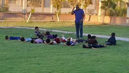 ملاعب