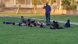 ملاعب