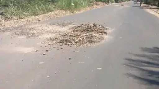 أخبار