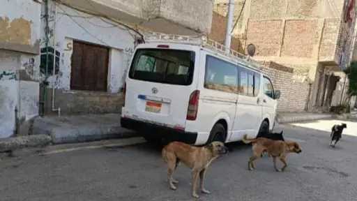أخبار