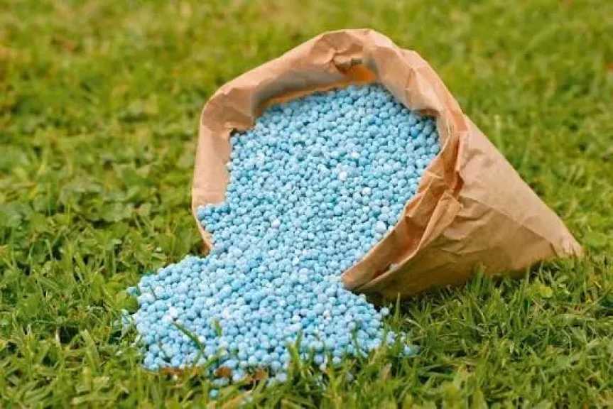 أخبار