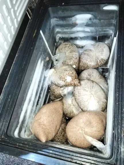 حوادث