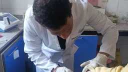 منوعات