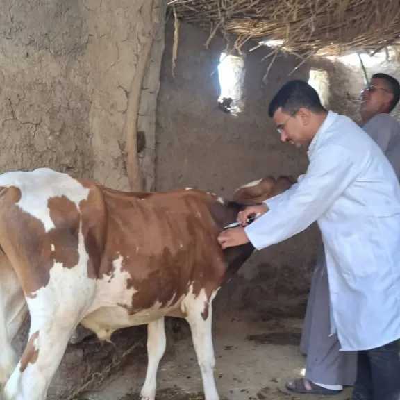 منوعات