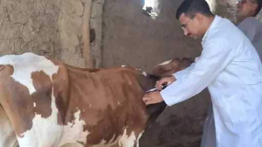 منوعات