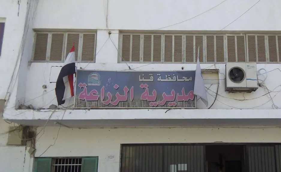 أخبار