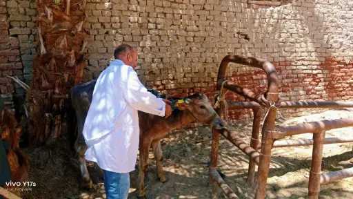 أخبار