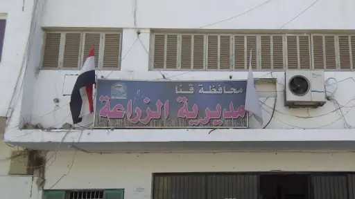 أخبار
