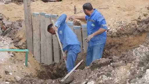 أخبار