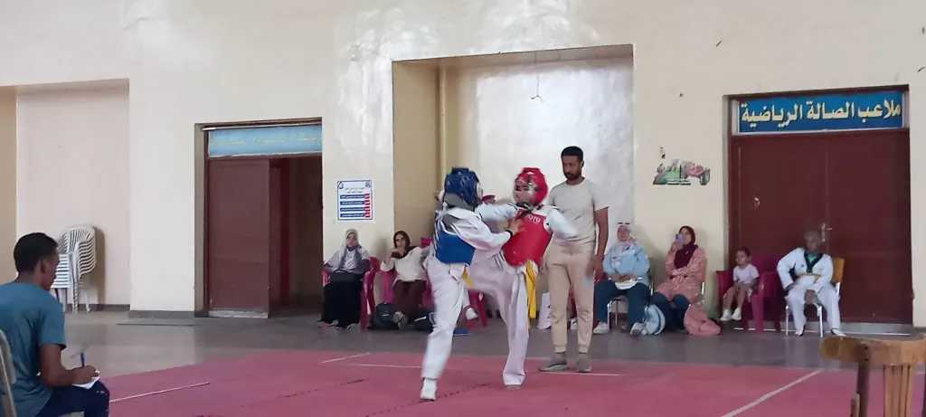 ملاعب