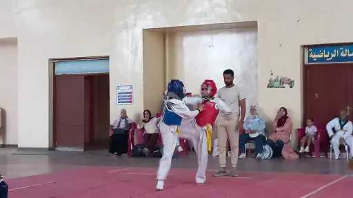 ملاعب