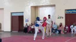 ملاعب