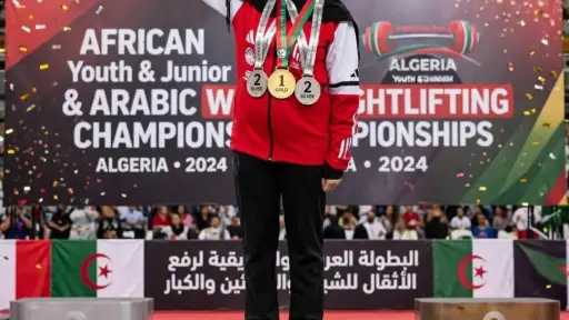 ملاعب