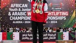 ملاعب