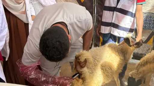 منوعات
