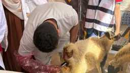 منوعات