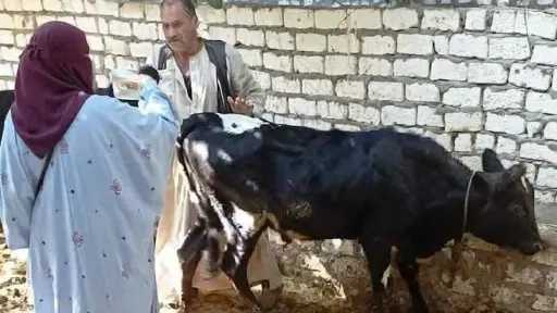 منوعات