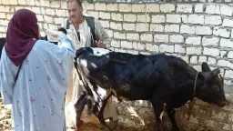 منوعات