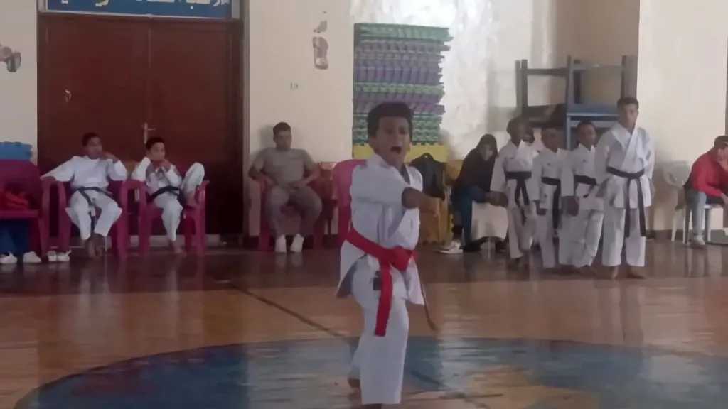 ملاعب
