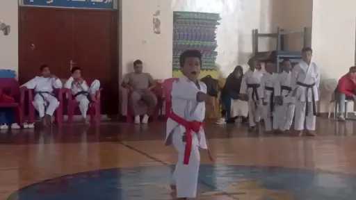 ملاعب
