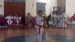 ملاعب
